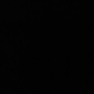 Meet your Posher, Georgette